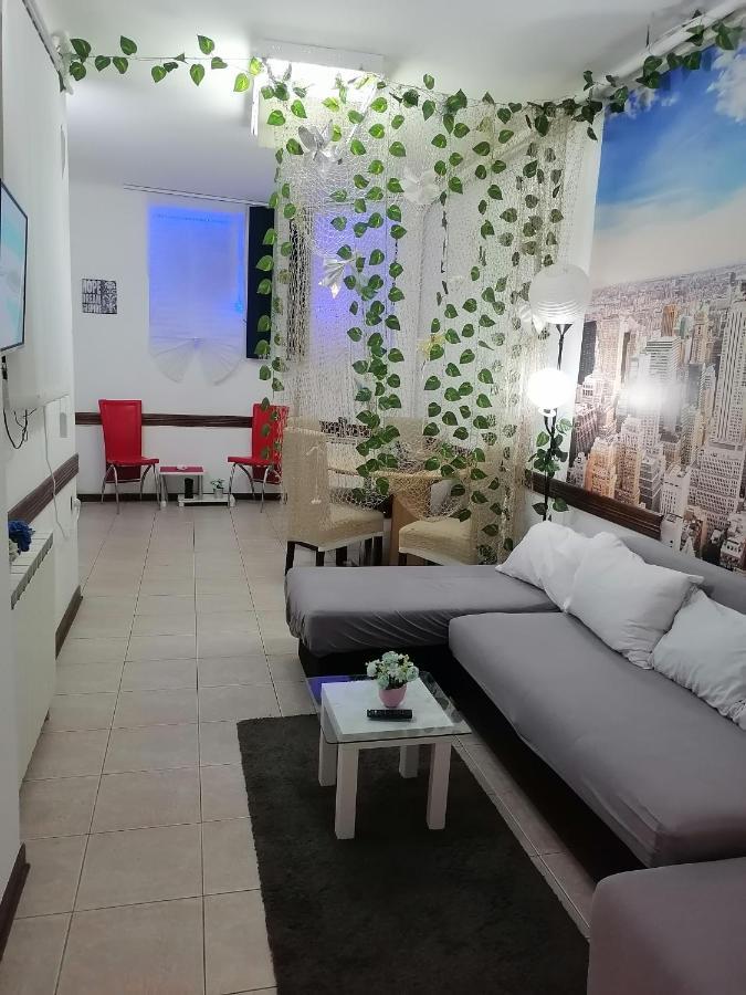 Low Cost Apartment Beograd Eksteriør billede