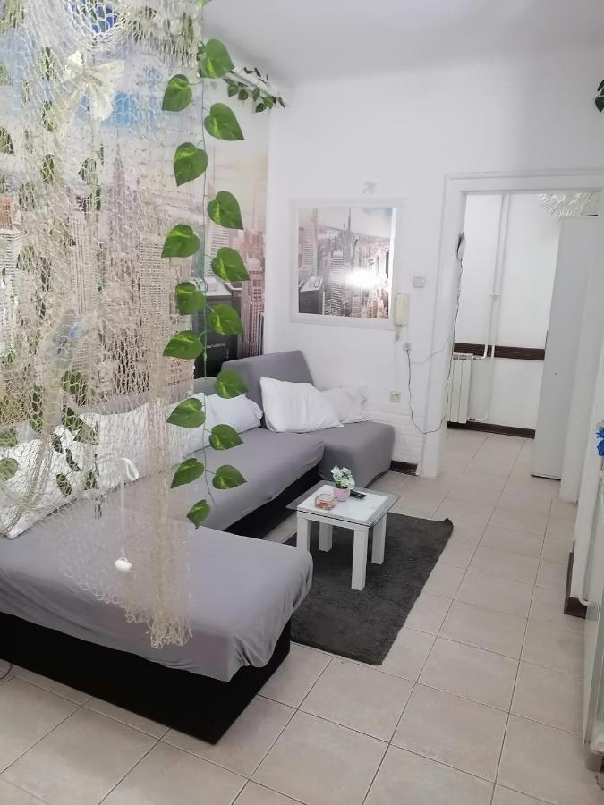 Low Cost Apartment Beograd Eksteriør billede